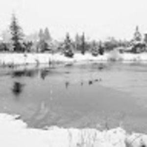 Meet your Posher, Kevin charles